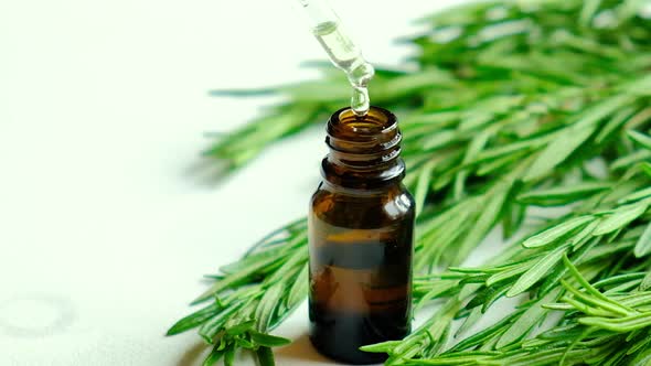 Rosemary Essential Oil in a Small Bottle