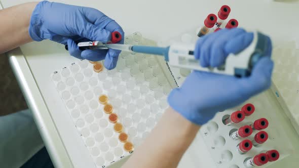 Laboratory Worker Fills Tubes with Liquid.