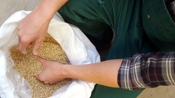 Brewer holding grains