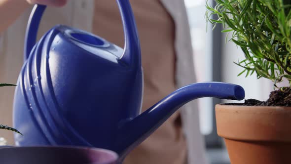 Woman Planting Pot Flowers at Home