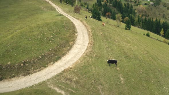 Countryside Road at Sun Mountain Aerial