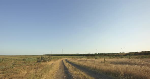 Rural Path in Field