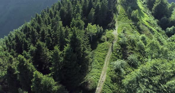 Biker Riding Mountain Bike Along Forest Trail Aerial View in Summer Sunny Day