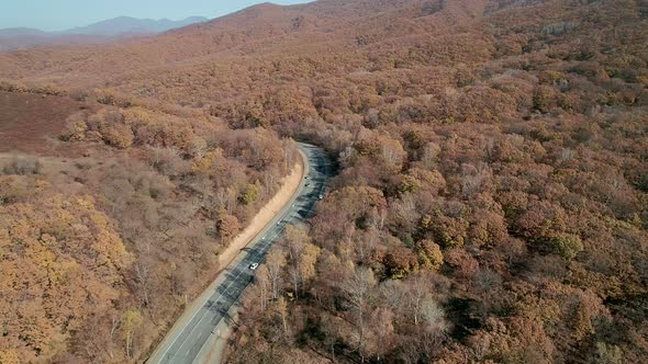 Aerial Shot of Cars Driving on a Highway Road in Between Autumn Forest Fall Season