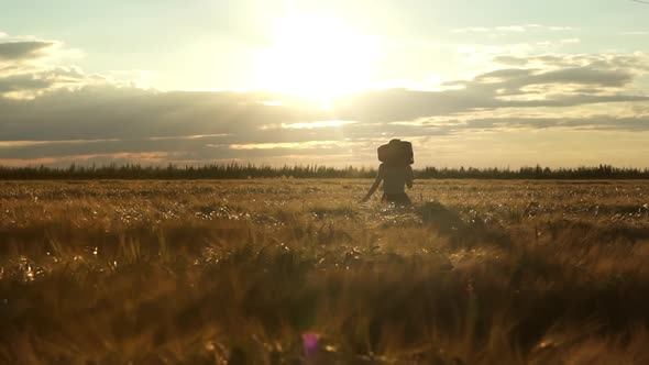 Cinematic View Hipster Girl with Guitar in Hand and Walking in the Wheat Field. Woman with Acoustic