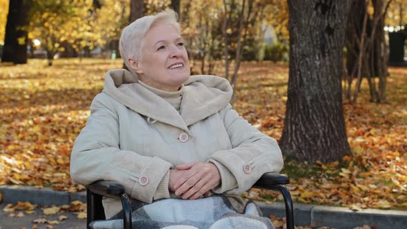 Happy Elderly Granny Sit in Wheelchair Looks Up in Autumn Park Adult Retired Woman Resting Outdoors