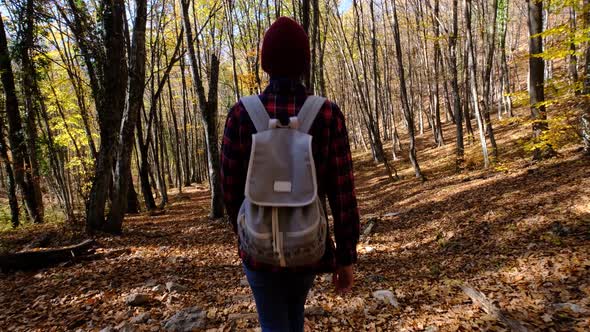 Young Woman Hiking in Forest in Autumn