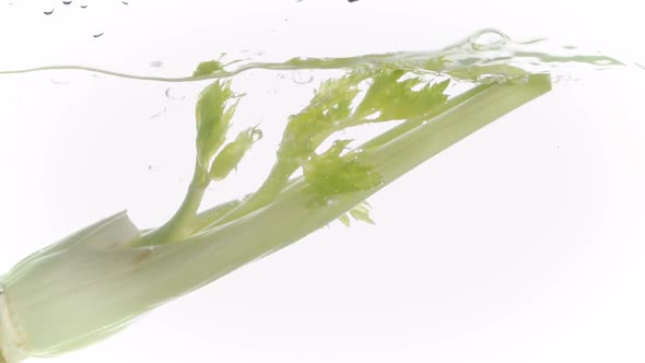 Celery Water Splash on White Background.