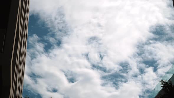 Timelapse of Clouds Forming Sunny Day
