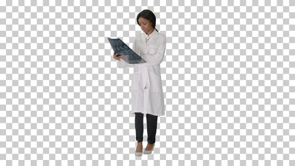 Young african american female doctor looking, Alpha Channel