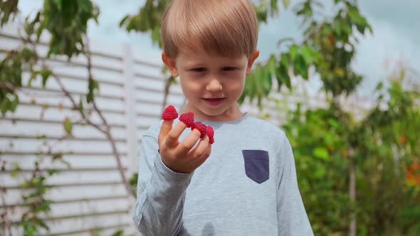 Happy Child 4 Years Old Holding Hands on Fingers and Eating Raspberries in Backyard