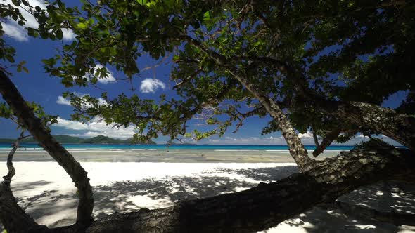 Ebb at Sandy Beach