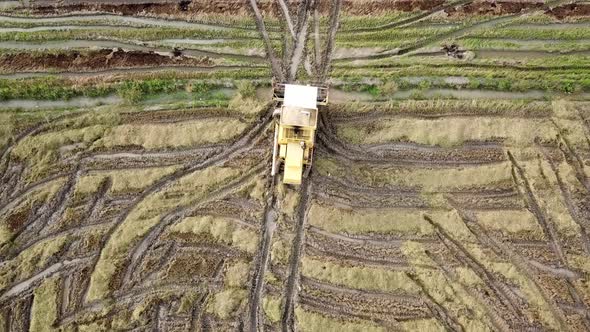 Worker uses harvester to harvest rice