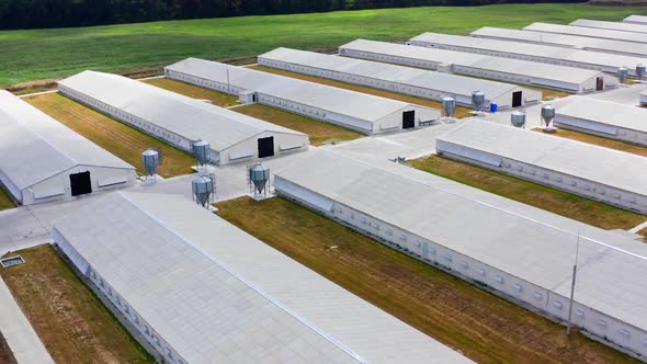 Aerial view of industrial chicken house.