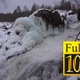 Amazing Winter Waterfall On The River Shuoniyoki - VideoHive Item for Sale