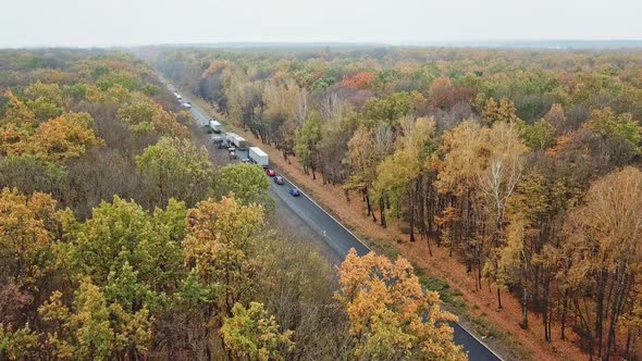 Flying over the autumn forest and new asphalt road