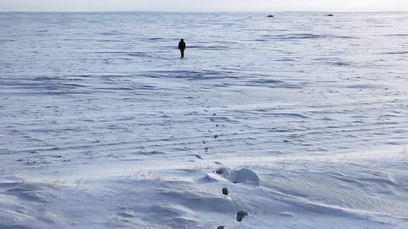 Lonely Human Walks Throw the Boundless Snow Desert.