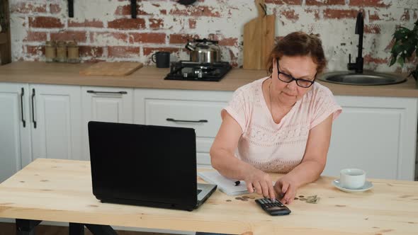 Mature Woman Distributes Budget By Counting Money