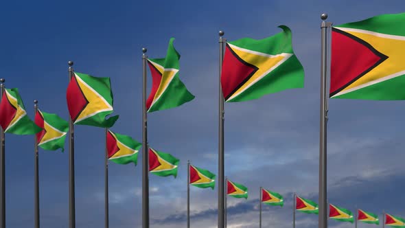 The Guyana Flags Waving In The Wind  - 2K