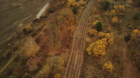 Aerial View of Trees Near Rail in Autumn Season