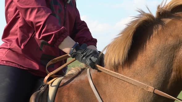 Woman Riding  Horse