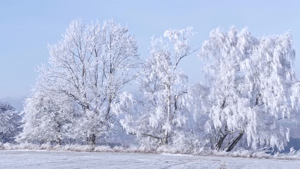 Winter landscape with frozen trees and blue sky