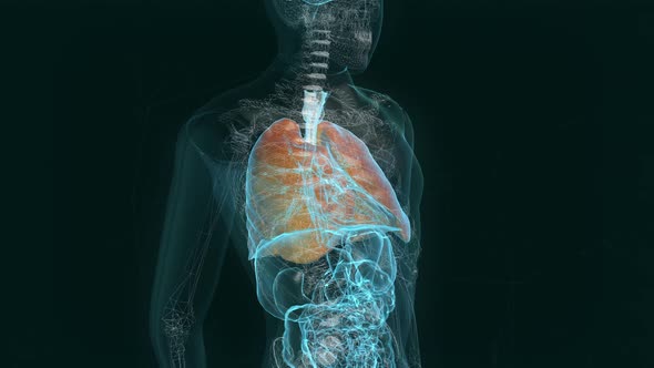 Skeleton Projection of the Rotating Human Body in Medical research Laboratory