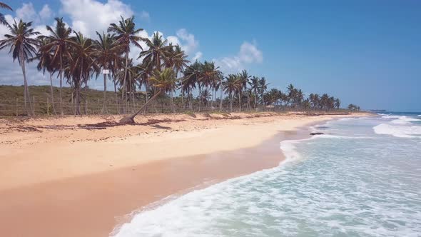 4k 24fps Dron Shoot In The Caribbean Beach With Pamlstree With Waves In The Sea 1