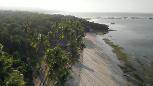 Aerial view of beach with palm trees in the morning 