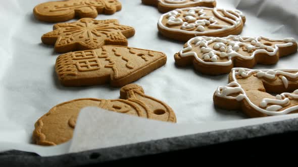 Christmas Holiday Gingerbread Cookie