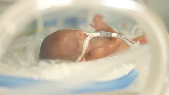 Premature Baby in the Tub