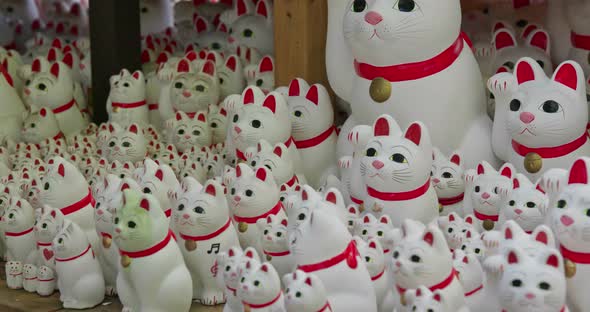 Gotokuji Shrine with lots of cat statues