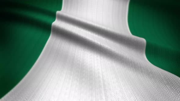 Nigeria Flag Seamless Loop