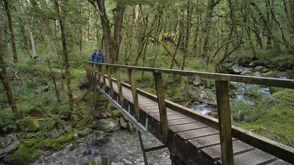 Static, hikers cross bridge over lush forest river, Fiordland, Kepler Track New Zealand