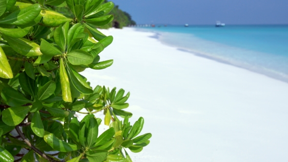 Perfect Wild Sandy Maldives Beach with Turquoise Sea View