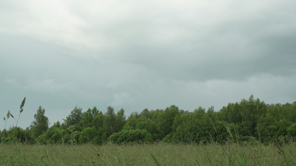 Forest and Field After or Before It Rains Dark Clouds Moved Rapidly Across Sky