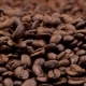 Roasted Coffee Beans Falling on Heap - VideoHive Item for Sale