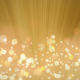 Rays of Light with Bokeh - VideoHive Item for Sale