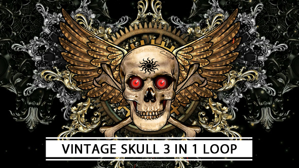 Vintage Skull