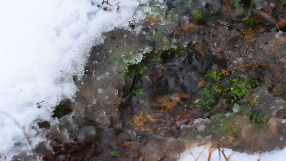 of Fall of Water Drops in Puddle with Snow Around