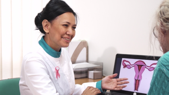 Female Gynecologist Talking To Her Patient Showing Uterus Picture on the Laptop