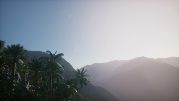 Sunset Beams Through Palm Trees alt