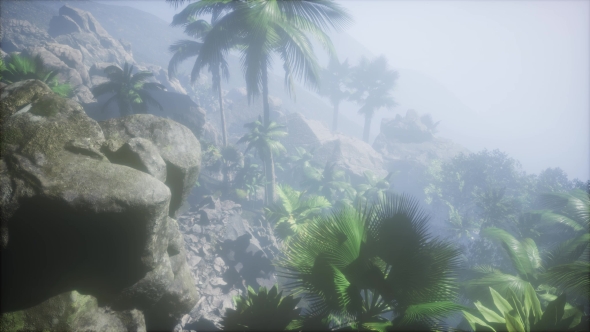 Sunset Beams Through Palm Trees alt