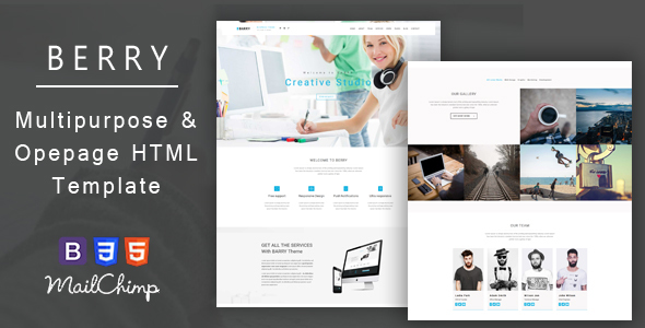Barry – Business And Corporate Responsive HTML Template