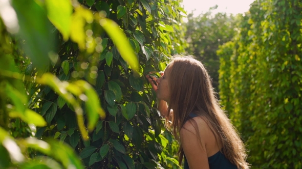 Shot of Young Woman Visiting a Pepper Farm on Phu Quoc Island Vietnam