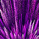 Purple Particle Background - VideoHive Item for Sale