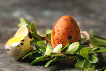  in green nest with shell and yolk and green branches over old metal background. Close up, space