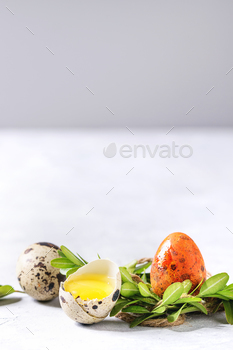 ail eggs in green nest with yolk and shell over white texture background. Close up, copy space