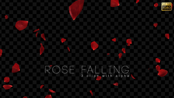 Rose Falling alt