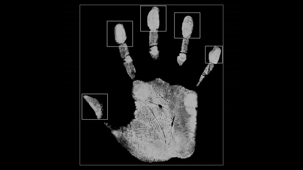 Hand Fingerprint Scan Identification Interface